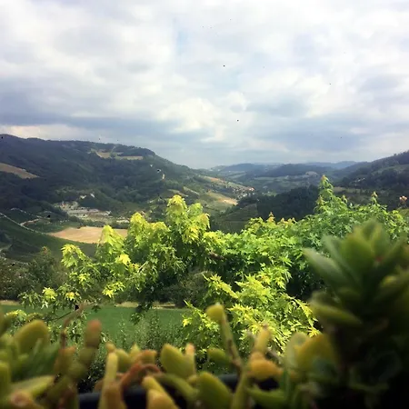 Cagrande * Colombara